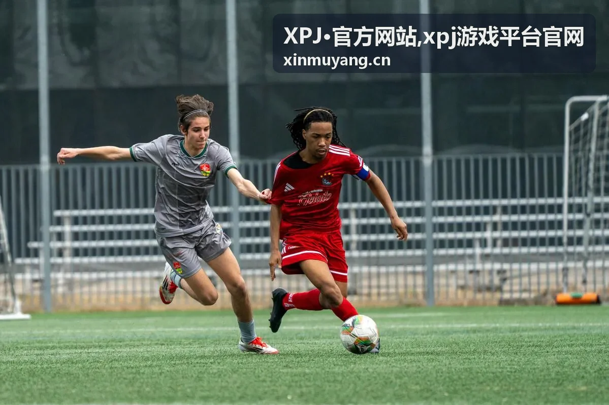 xpj游戏平台官网栏目查看说明